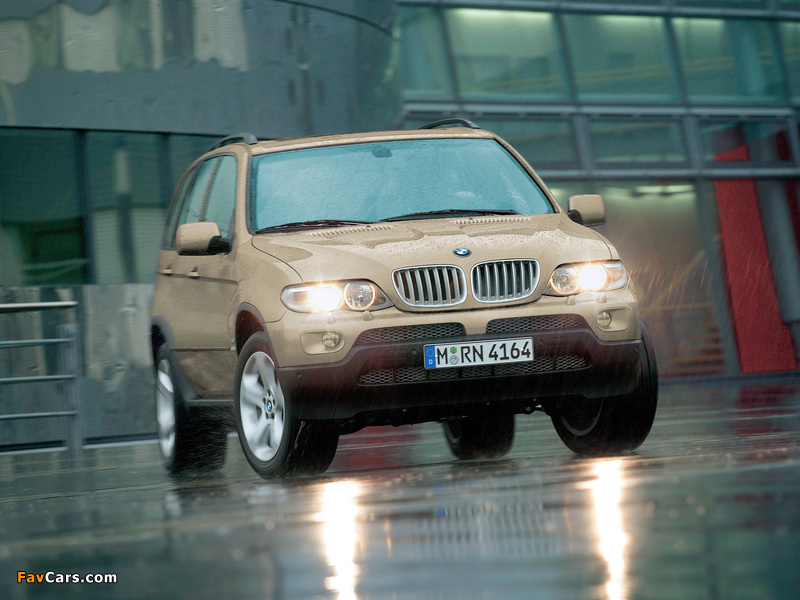BMW X5 4.4i (E53) 2003–07 photos (800 x 600)
