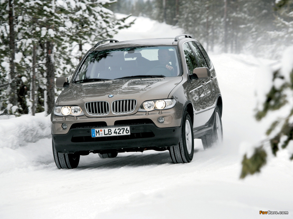 BMW X5 4.4i (E53) 2003–07 photos (1024 x 768)