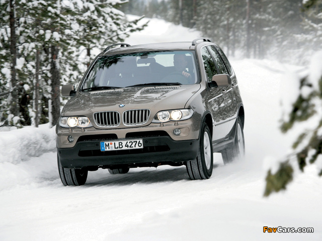 BMW X5 4.4i (E53) 2003–07 photos (640 x 480)