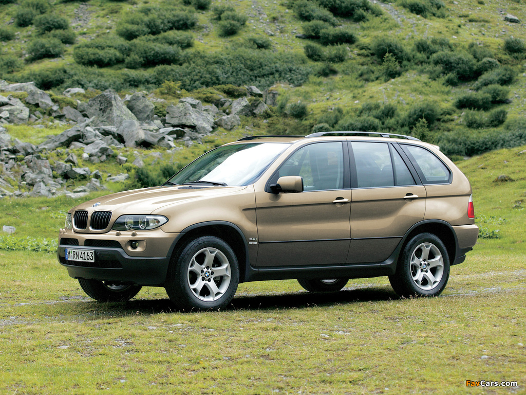 BMW X5 3.0i (E53) 2003–07 photos (1024 x 768)