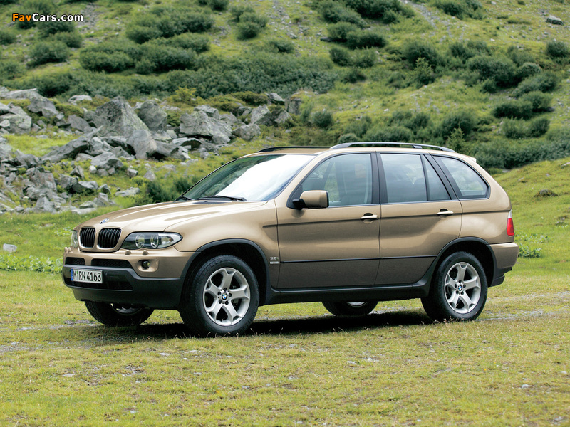 BMW X5 3.0i (E53) 2003–07 photos (800 x 600)