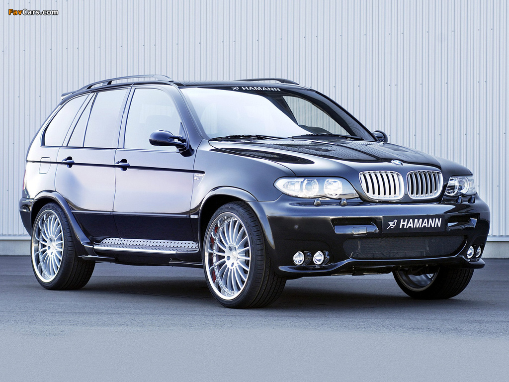 Hamann BMW X5 (E53) 2003–07 pictures (1024 x 768)