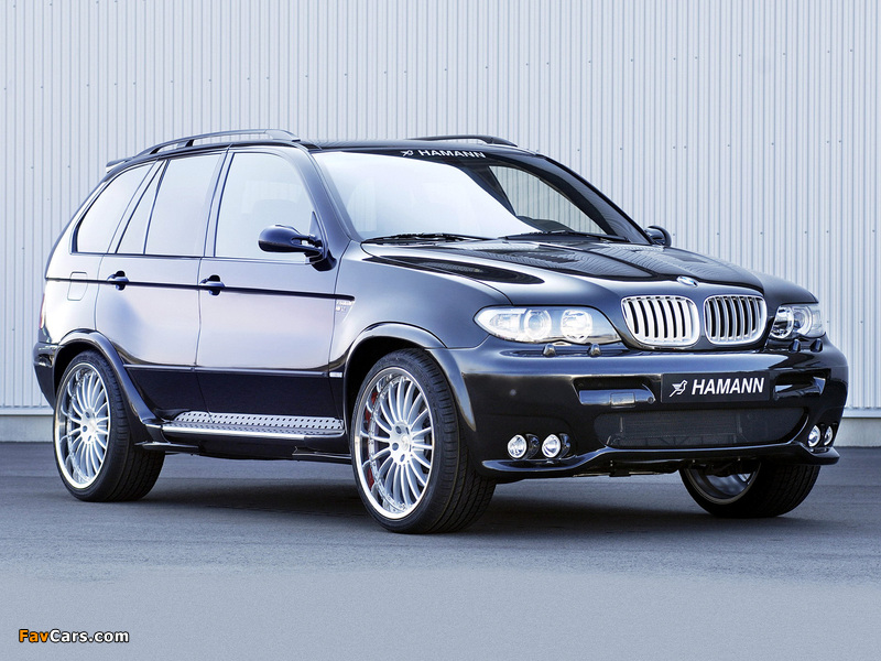 Hamann BMW X5 (E53) 2003–07 pictures (800 x 600)