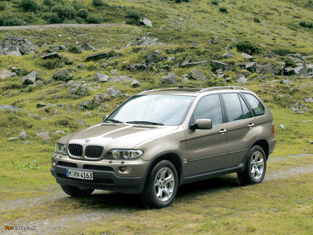 BMW X5 3.0i (E53) 2003–07 pictures (1024 x 768)