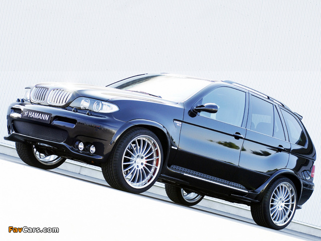 Hamann BMW X5 (E53) 2003–07 pictures (640 x 480)