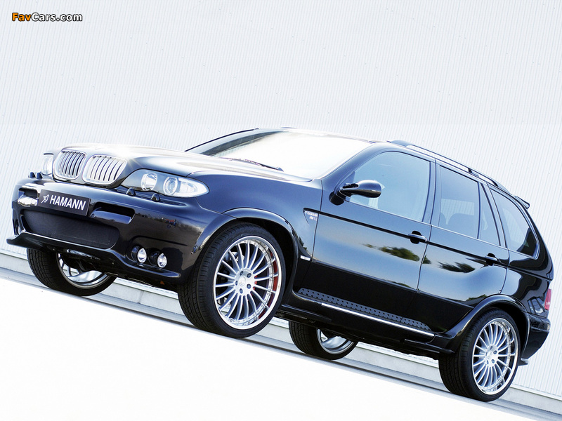 Hamann BMW X5 (E53) 2003–07 pictures (800 x 600)