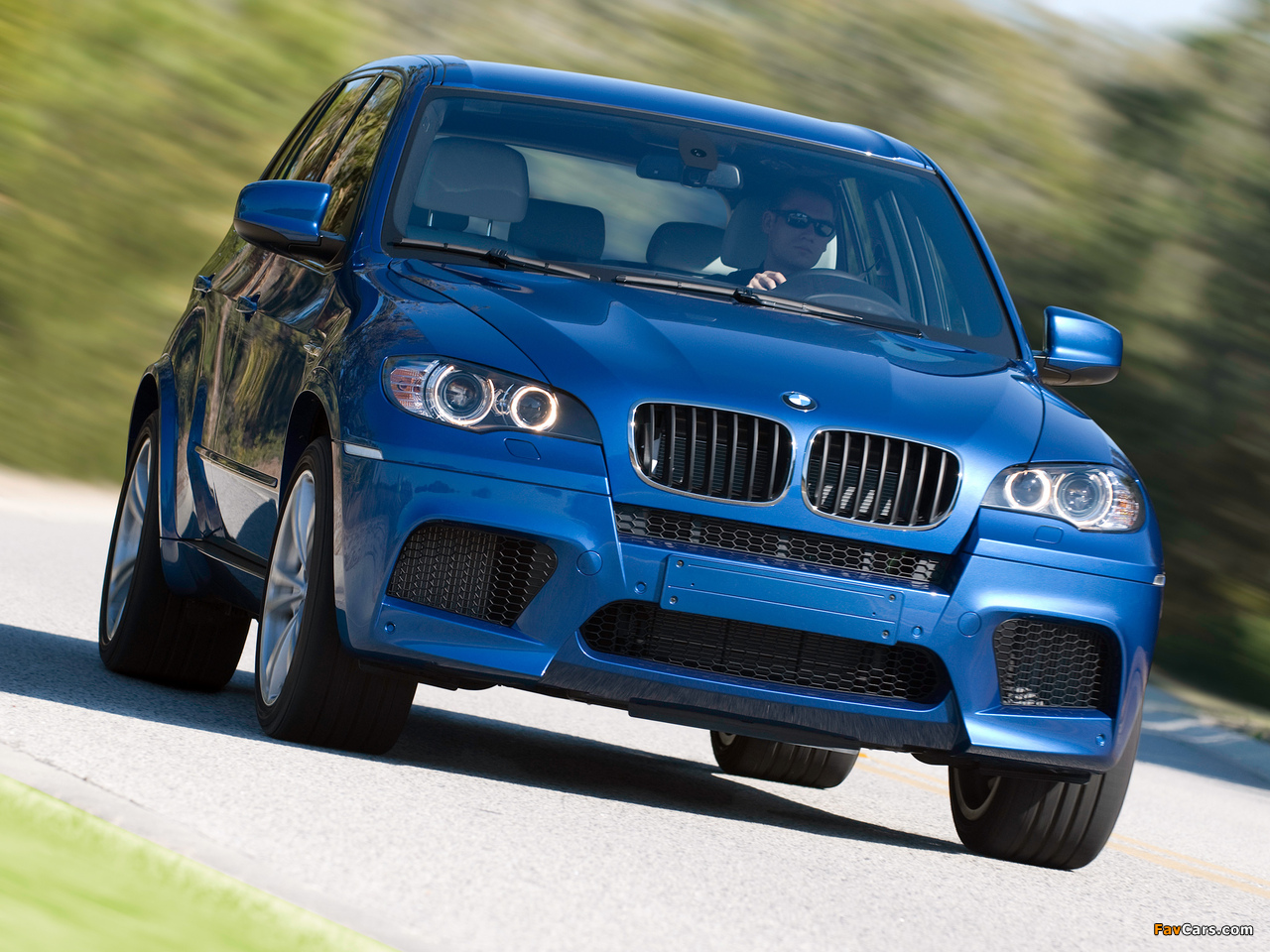 BMW X5 M (E70) 2009 pictures (1280 x 960)