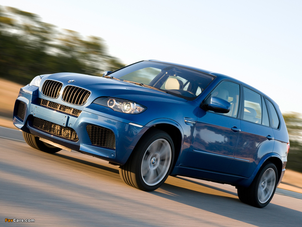 BMW X5 M (E70) 2009 wallpapers (1024 x 768)