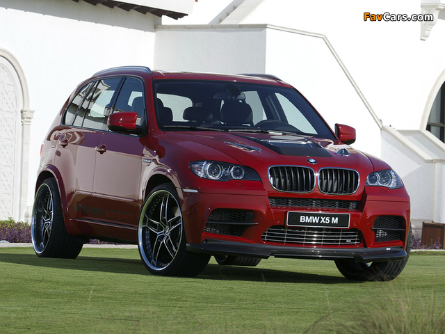 AC Schnitzer ACS5 Falcon Sport (E70) 2010 pictures (640 x 480)