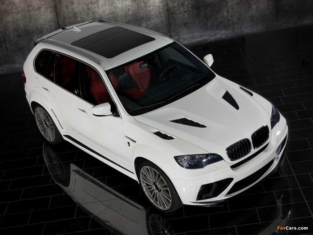 Mansory BMW X5 (E70) 2010 wallpapers (1024 x 768)