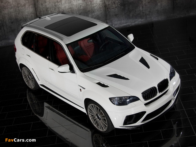 Mansory BMW X5 (E70) 2010 wallpapers (640 x 480)