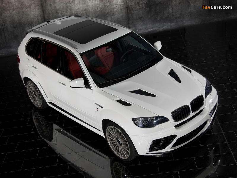 Mansory BMW X5 (E70) 2010 wallpapers (800 x 600)