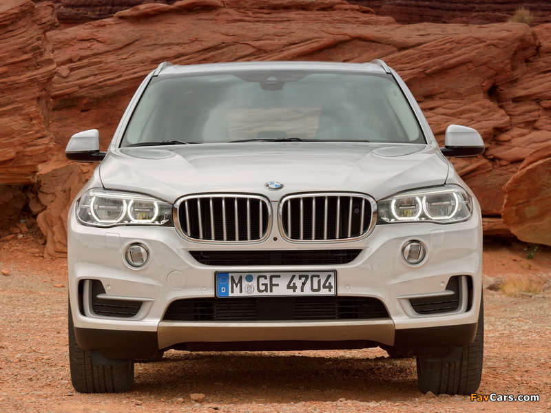 BMW X5 xDrive30d (F15) 2013 images (800 x 600)