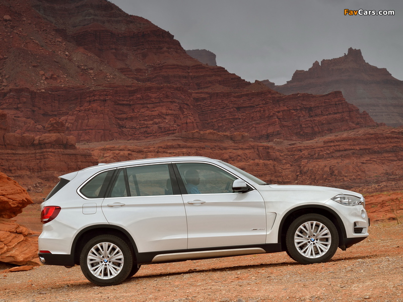 BMW X5 xDrive30d (F15) 2013 photos (800 x 600)