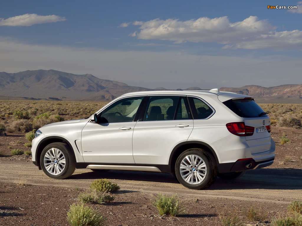 BMW X5 xDrive30d (F15) 2013 photos (1024 x 768)