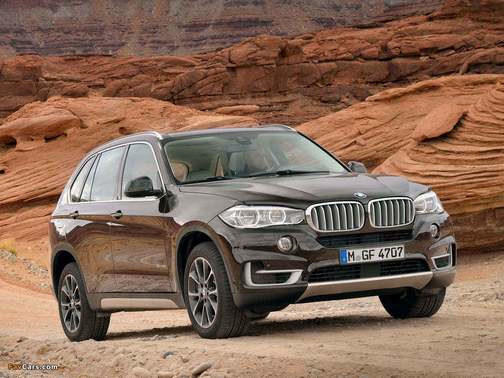 BMW X5 xDrive50i (F15) 2013 photos (1024 x 768)