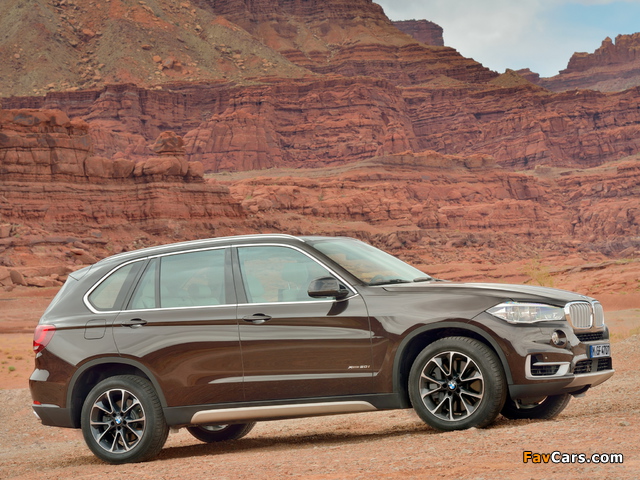 BMW X5 xDrive50i (F15) 2013 pictures (640 x 480)