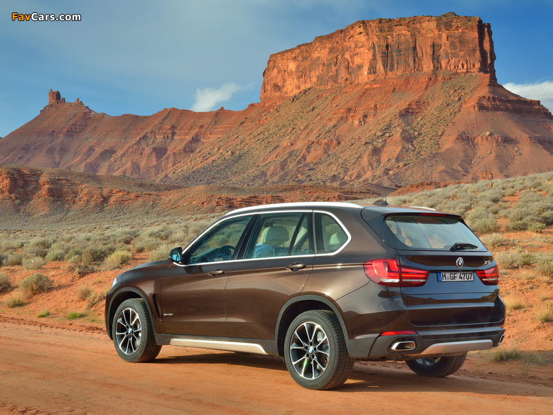 BMW X5 xDrive50i (F15) 2013 pictures (800 x 600)