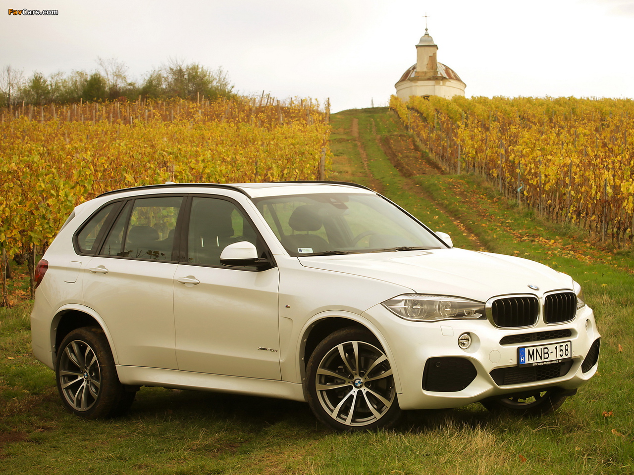 BMW X5 xDrive30d M Sport Package (F15) 2013 pictures (1280 x 960)