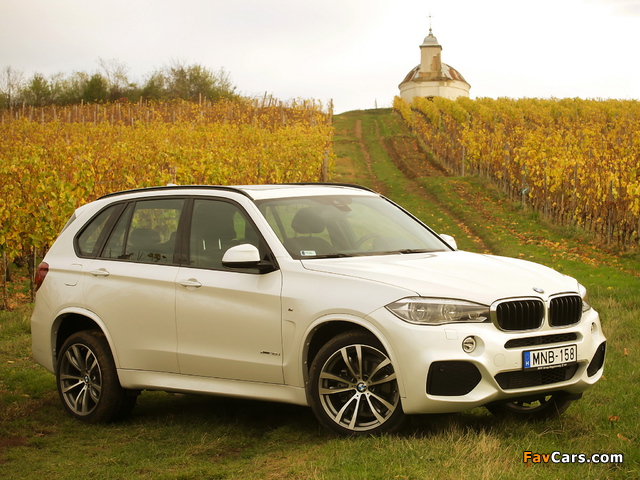BMW X5 xDrive30d M Sport Package (F15) 2013 pictures (640 x 480)