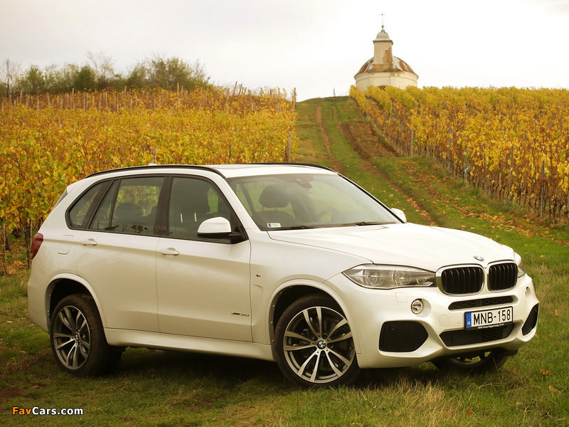 BMW X5 xDrive30d M Sport Package (F15) 2013 pictures (800 x 600)