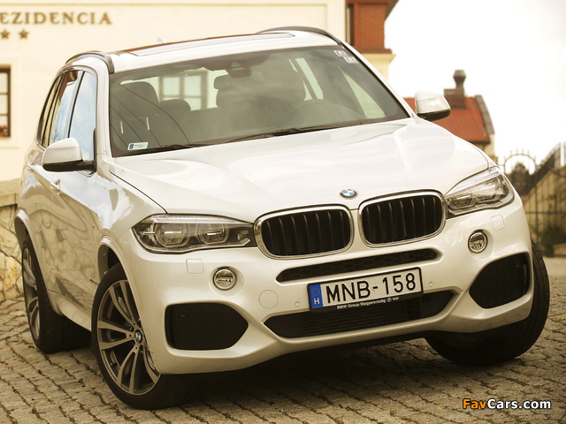 BMW X5 xDrive30d M Sport Package (F15) 2013 pictures (640 x 480)