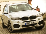BMW X5 xDrive30d M Sport Package (F15) 2013 pictures