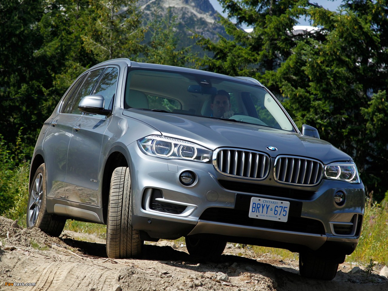 BMW X5 xDrive30d (F15) 2013 wallpapers (1280 x 960)