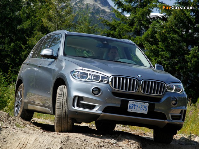 BMW X5 xDrive30d (F15) 2013 wallpapers (640 x 480)