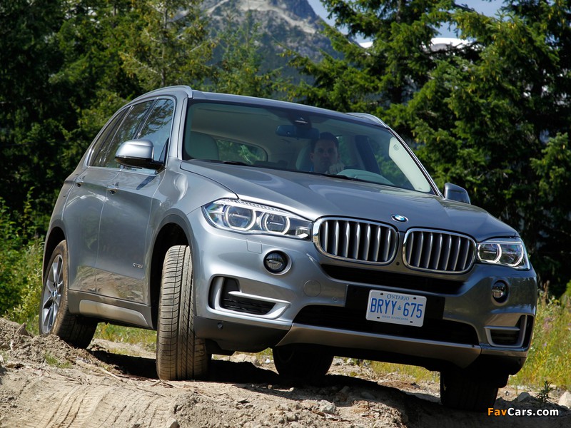 BMW X5 xDrive30d (F15) 2013 wallpapers (800 x 600)