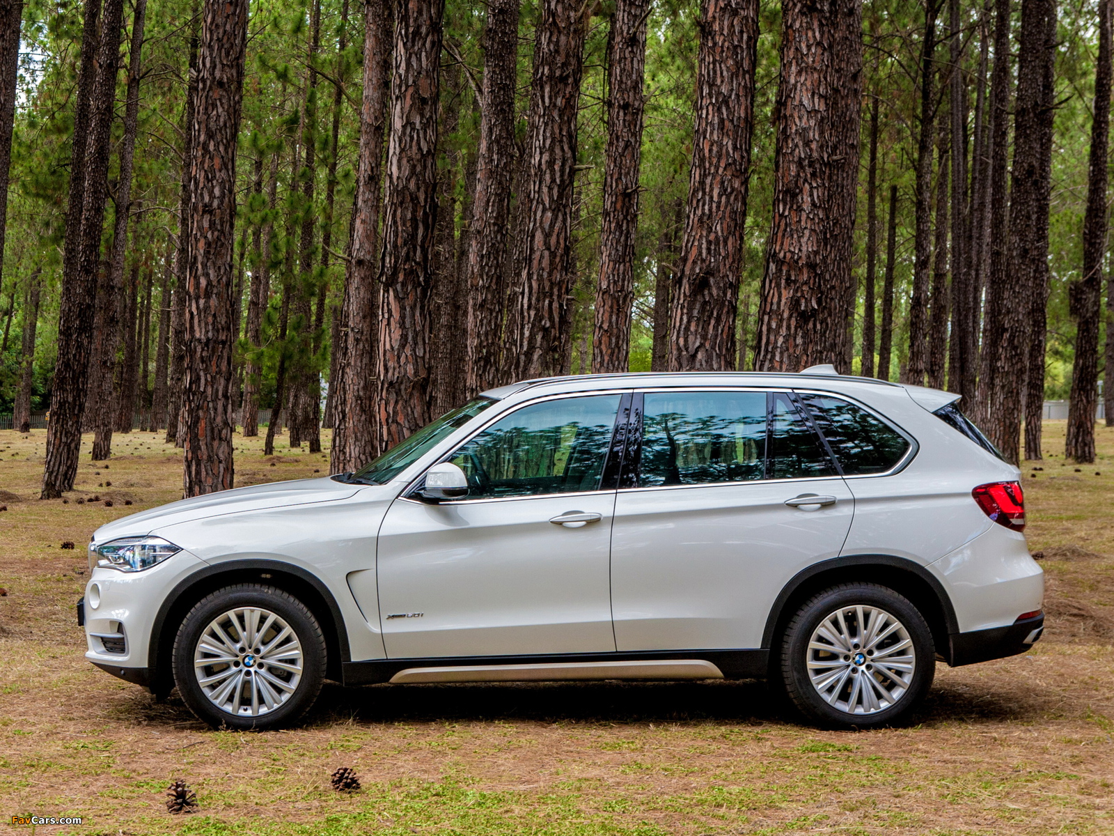 BMW X5 xDrive50i ZA-spec (F15) 2014 photos (1600 x 1200)