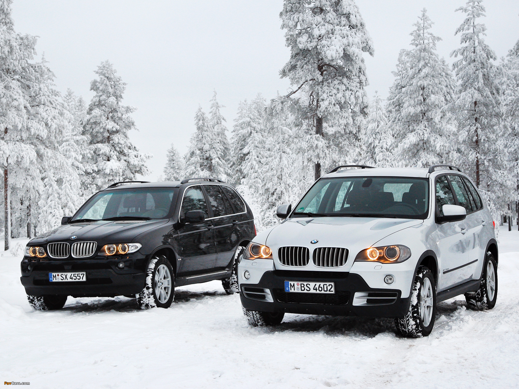BMW X5 pictures (2048 x 1536)