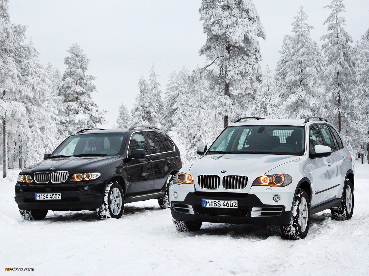 BMW X5 pictures (1280 x 960)