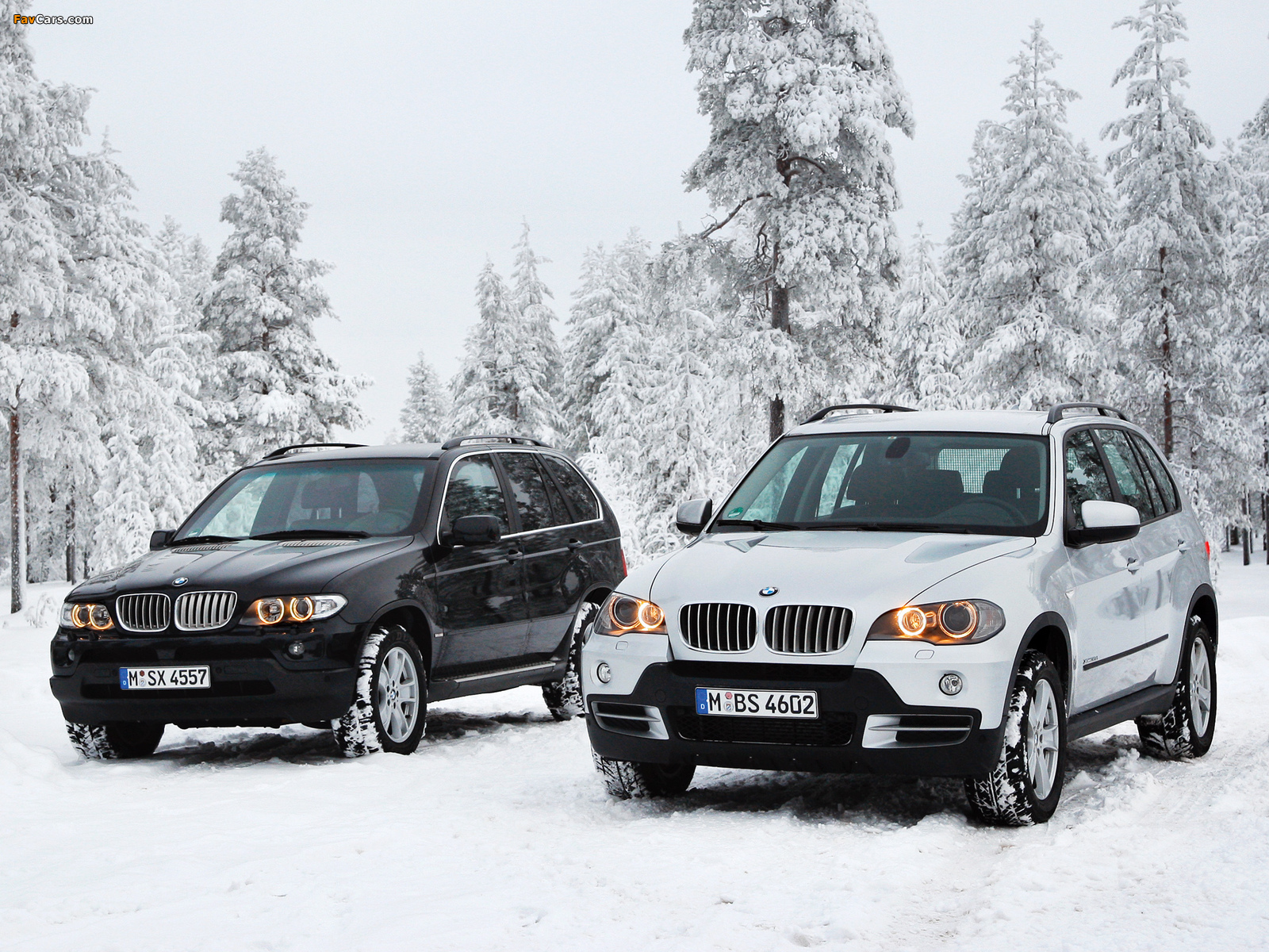 BMW X5 pictures (1600 x 1200)