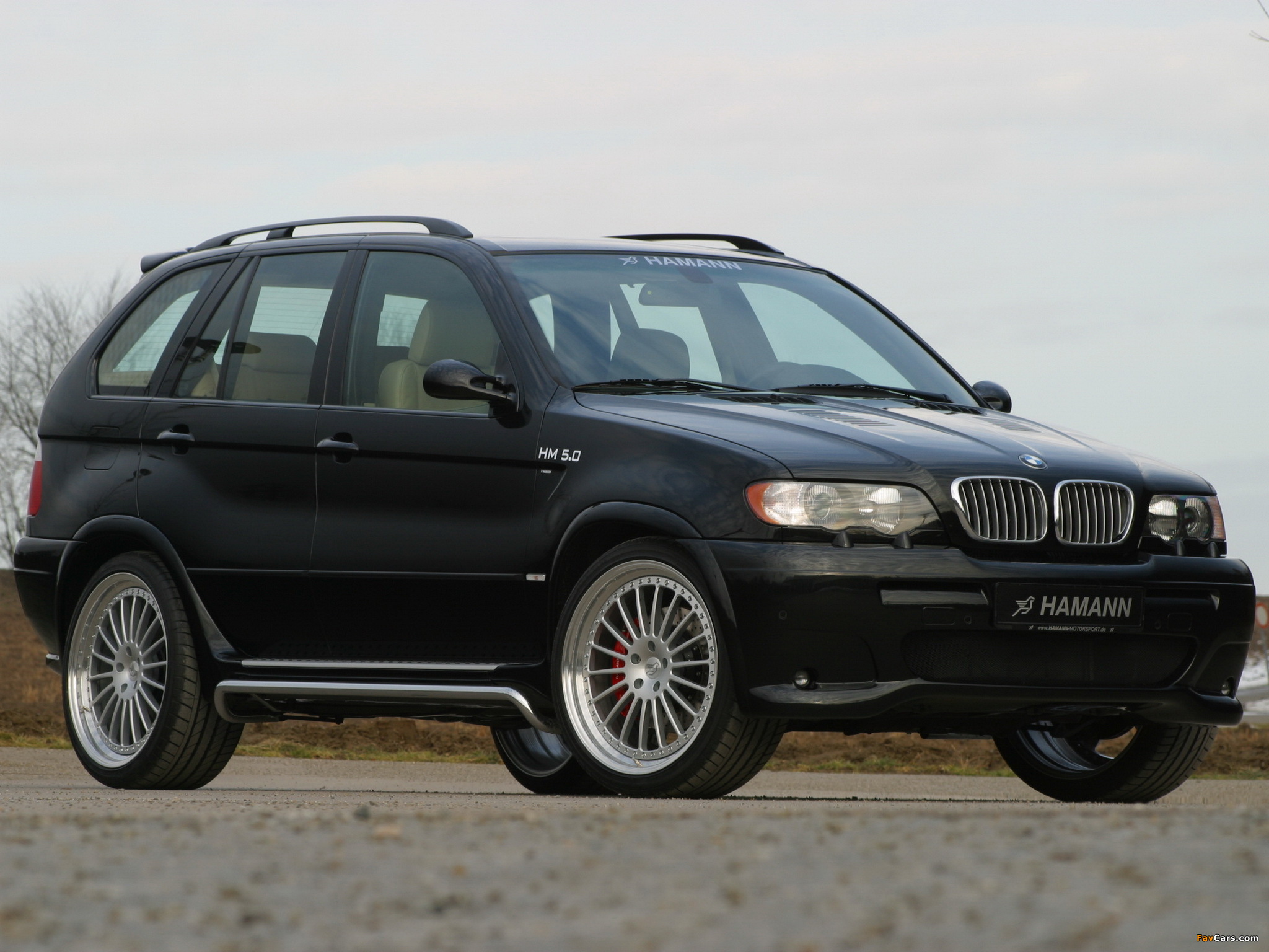 Images of Hamann BMW X5 (E53) 2000–03 (2048 x 1536)