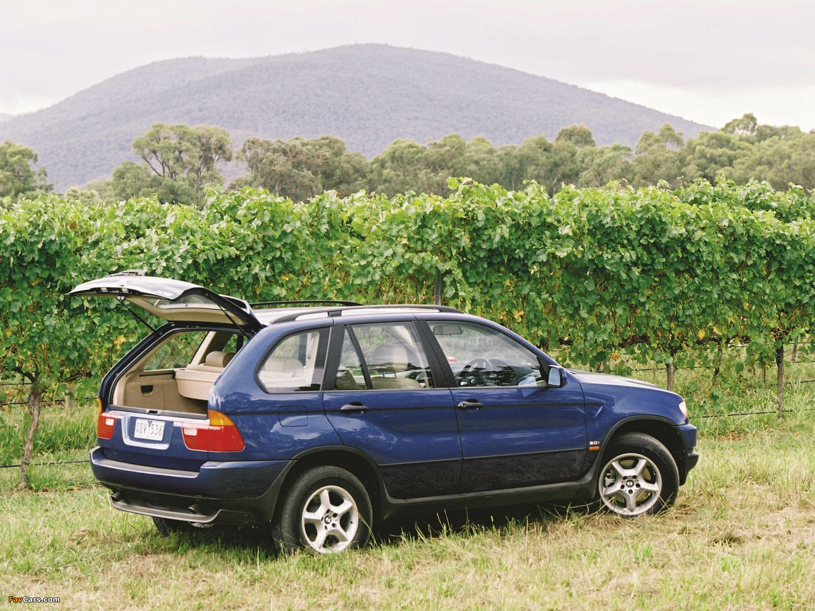 Images of BMW X5 3.0i AU-spec (E53) 2000–03 (1600 x 1200)