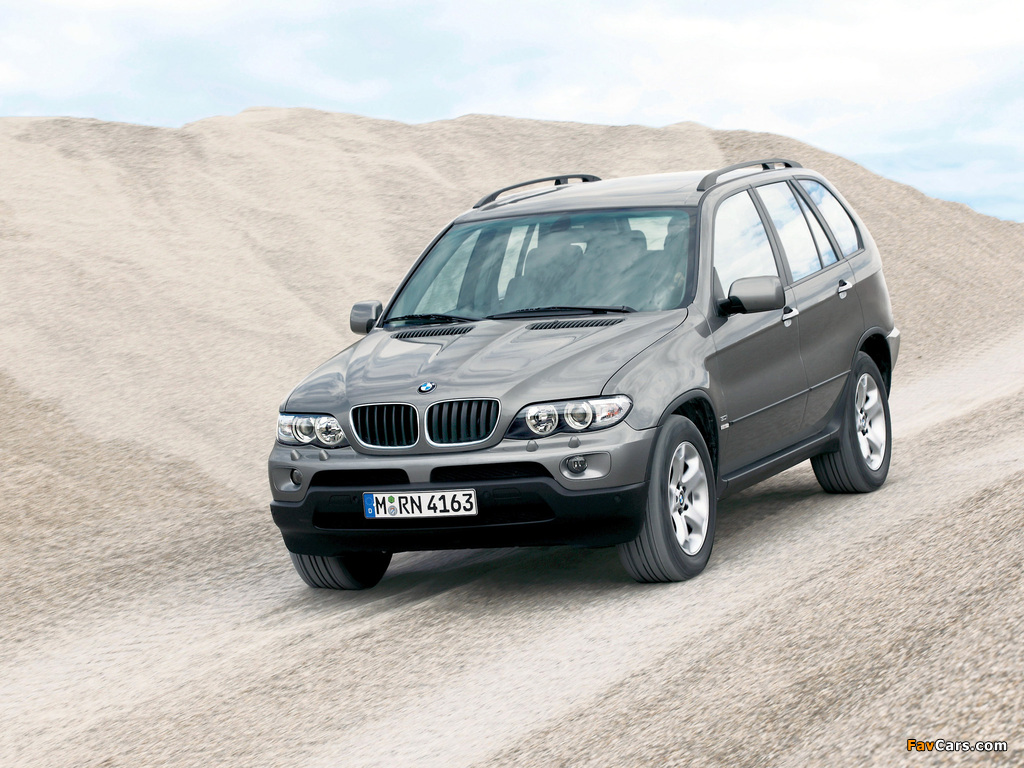 Images of BMW X5 3.0i (E53) 2003–07 (1024 x 768)