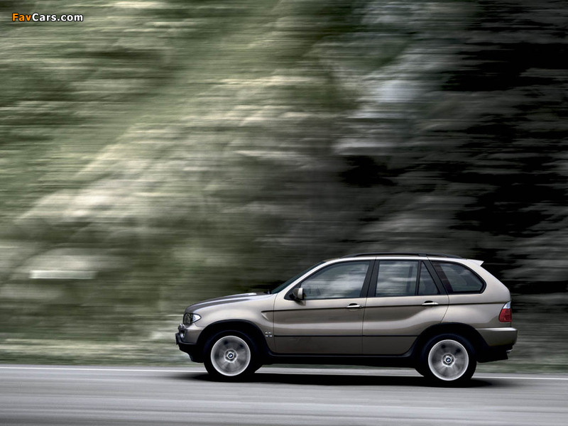 Images of BMW X5 4.4i (E53) 2003–07 (800 x 600)