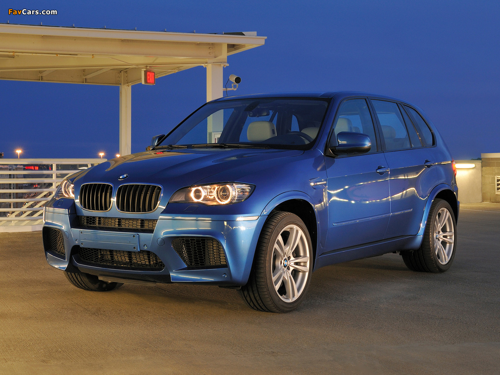 Images of BMW X5 M (E70) 2009 (1024 x 768)