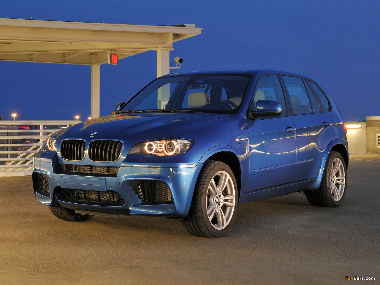 Images of BMW X5 M (E70) 2009 (1280 x 960)
