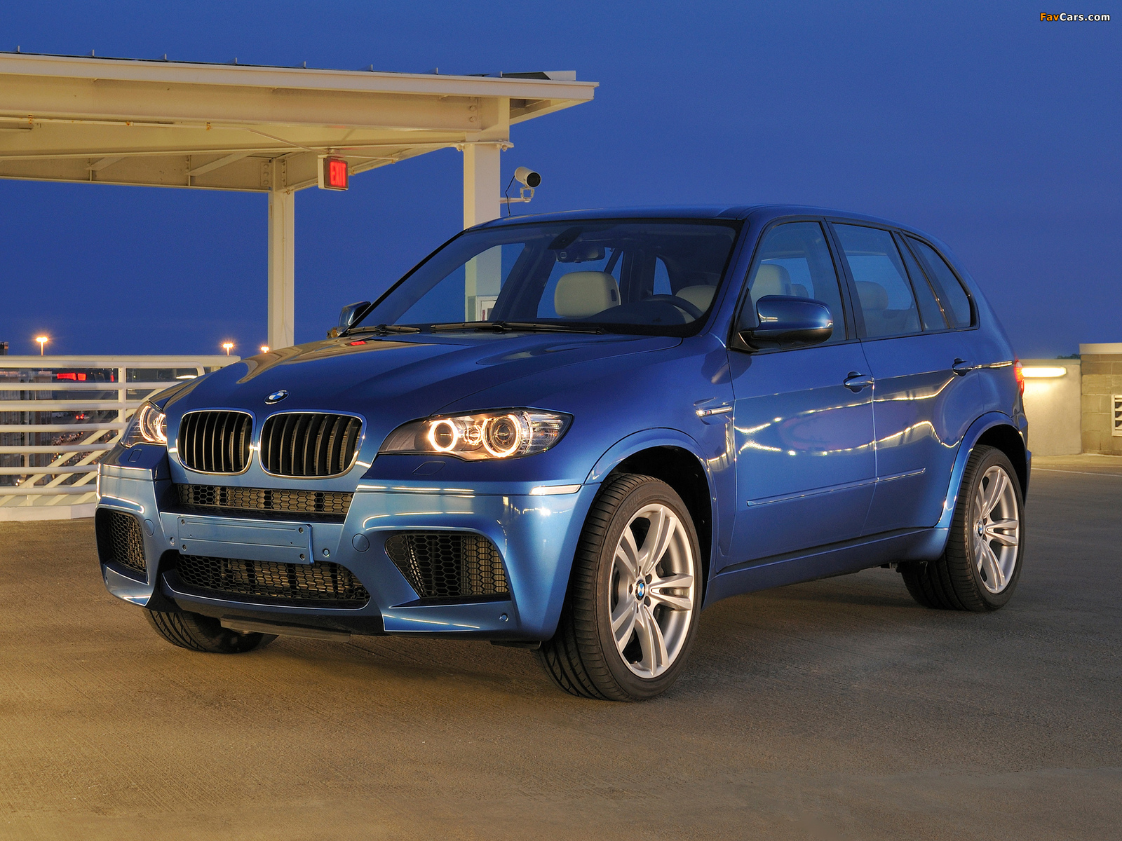 Images of BMW X5 M (E70) 2009 (1600 x 1200)