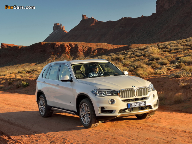 Images of BMW X5 xDrive30d (F15) 2013 (640 x 480)