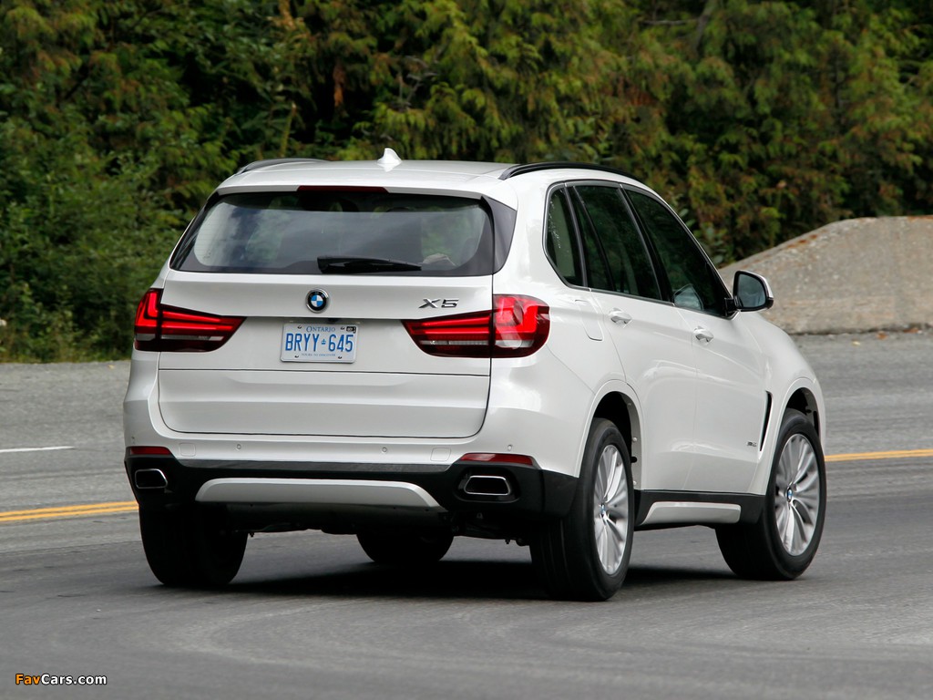 Images of BMW X5 xDrive50i (F15) 2013 (1024 x 768)