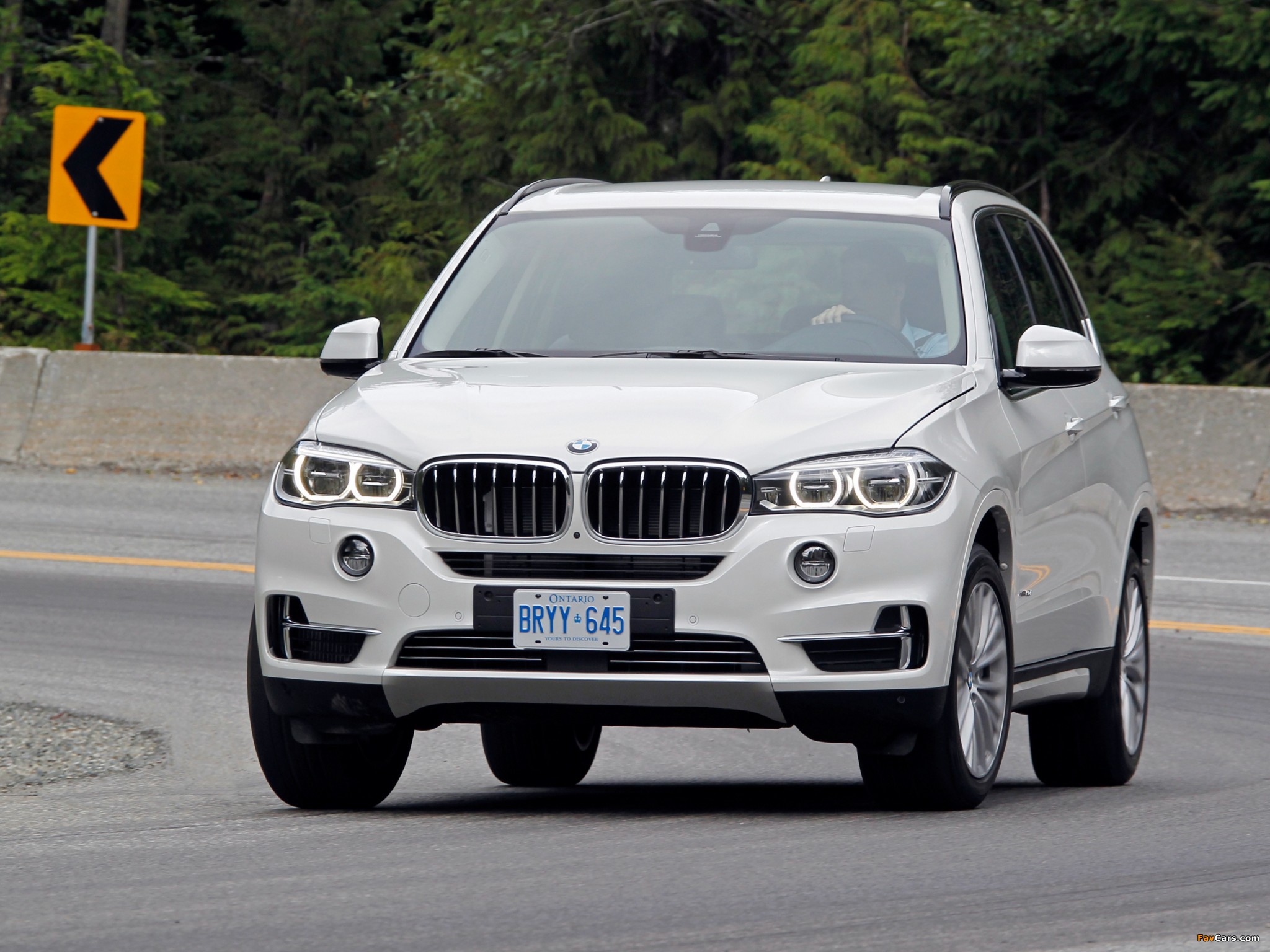 Images of BMW X5 xDrive50i (F15) 2013 (2048 x 1536)