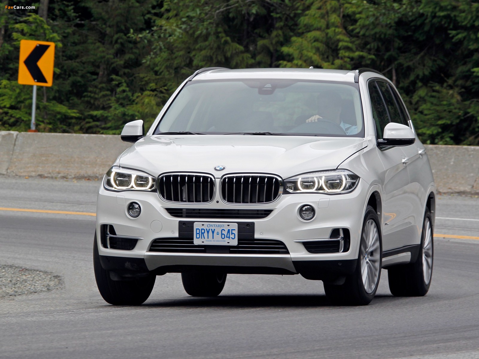 Images of BMW X5 xDrive50i (F15) 2013 (1600 x 1200)