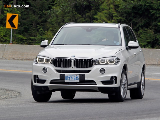 Images of BMW X5 xDrive50i (F15) 2013 (640 x 480)