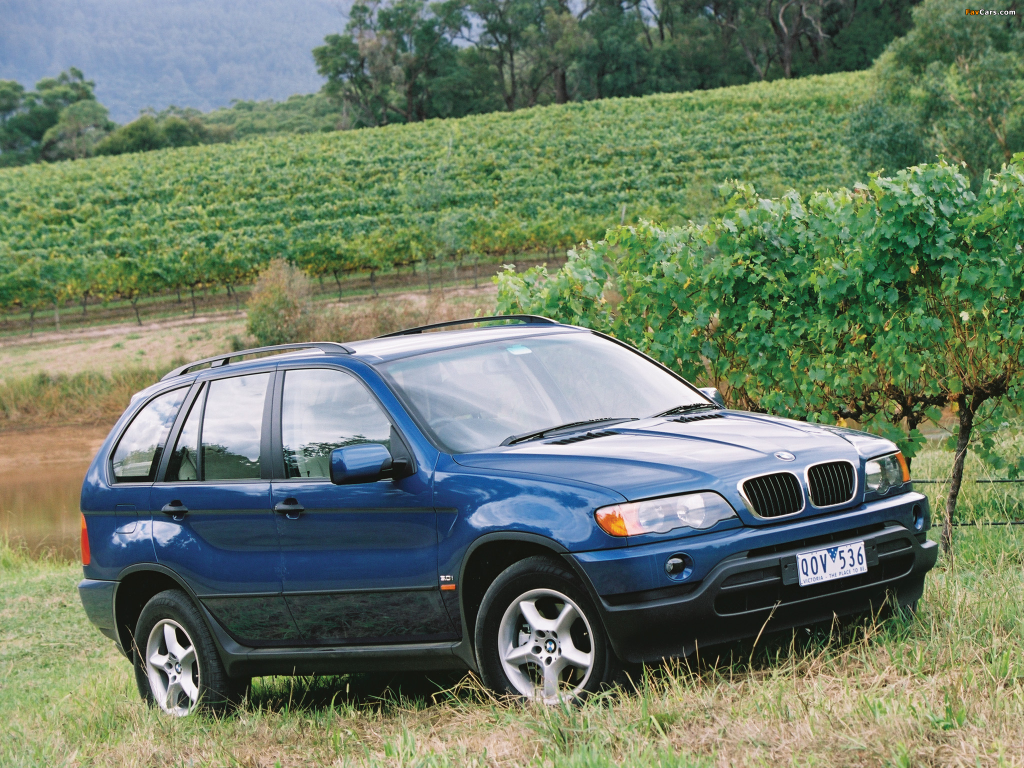 Photos of BMW X5 3.0i AU-spec (E53) 2000–03 (2048 x 1536)