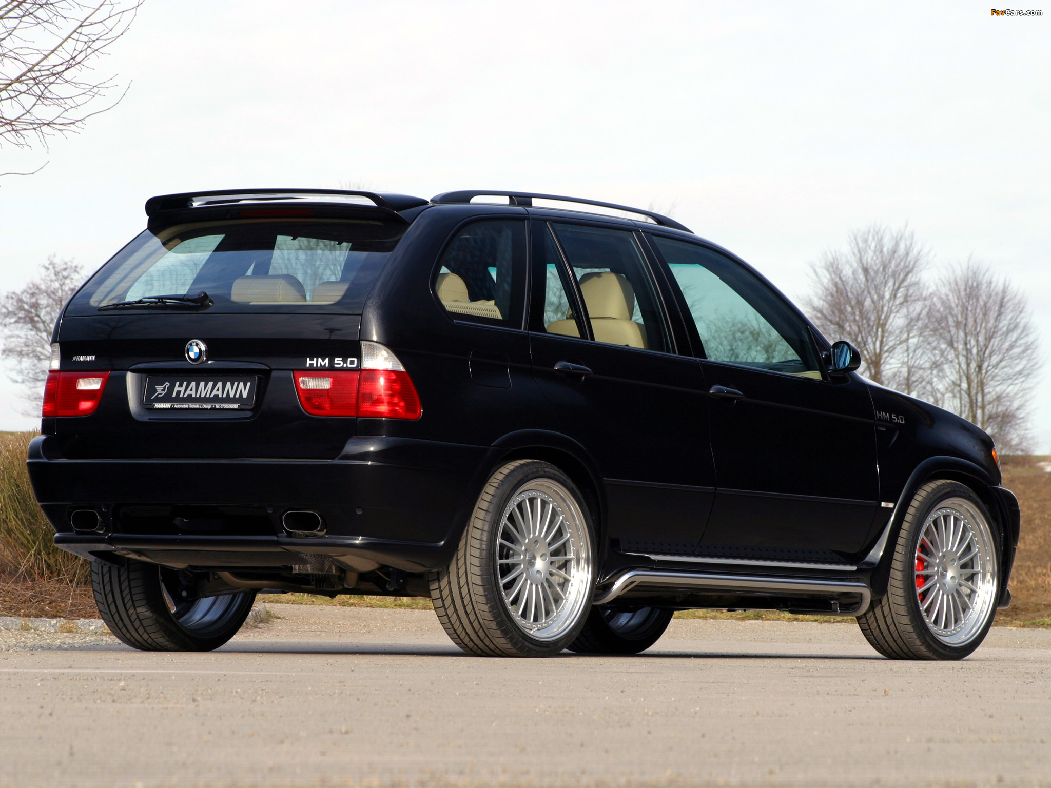 Photos of Hamann BMW X5 (E53) 2000–03 (2048 x 1536)