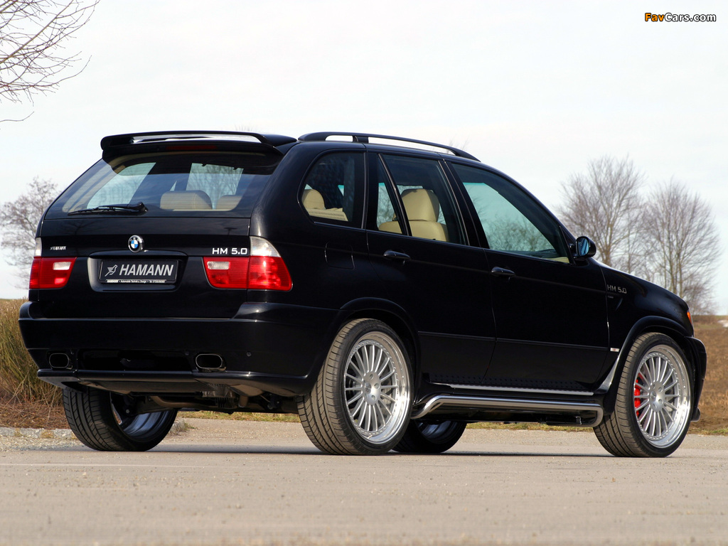 Photos of Hamann BMW X5 (E53) 2000–03 (1024 x 768)