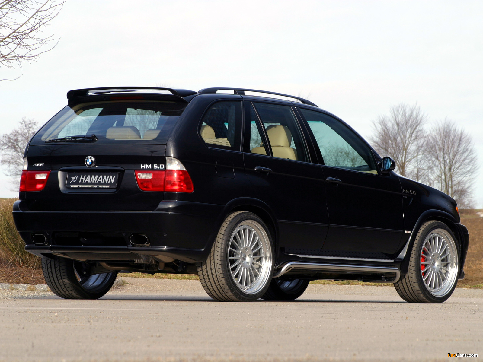 Photos of Hamann BMW X5 (E53) 2000–03 (1600 x 1200)